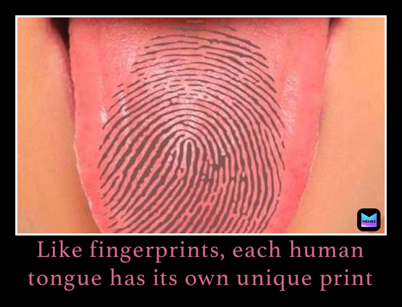 Meme by anatomyknowledge