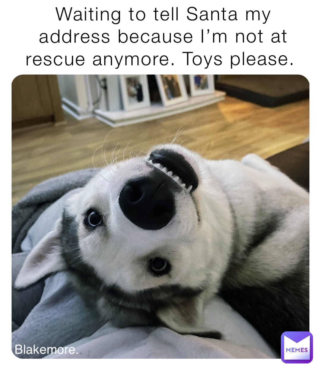 Waiting to tell Santa my address because I’m not at rescue anymore. Toys please.