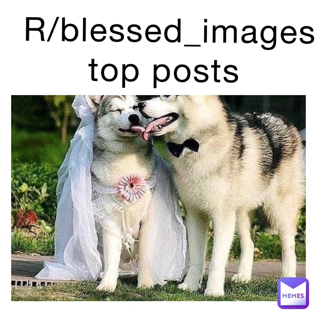 R/blessed_images top posts