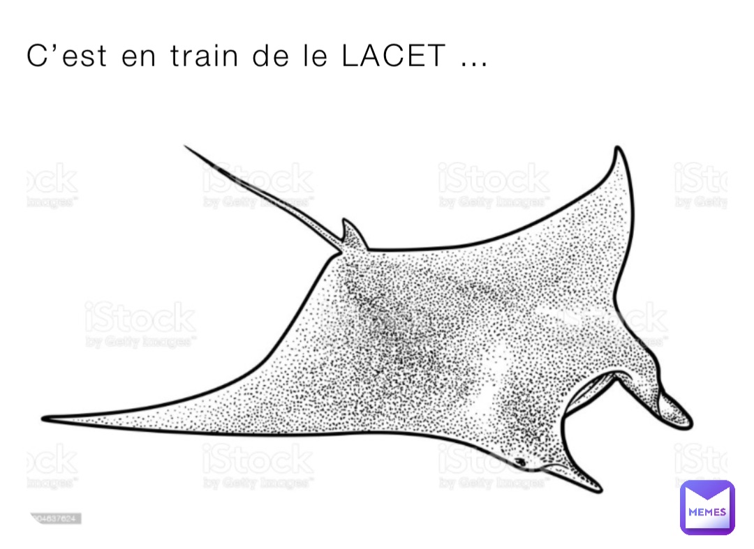 C’est en train de le LACET …