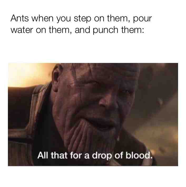 Fuck ants they're the only creatures that aren't made by God