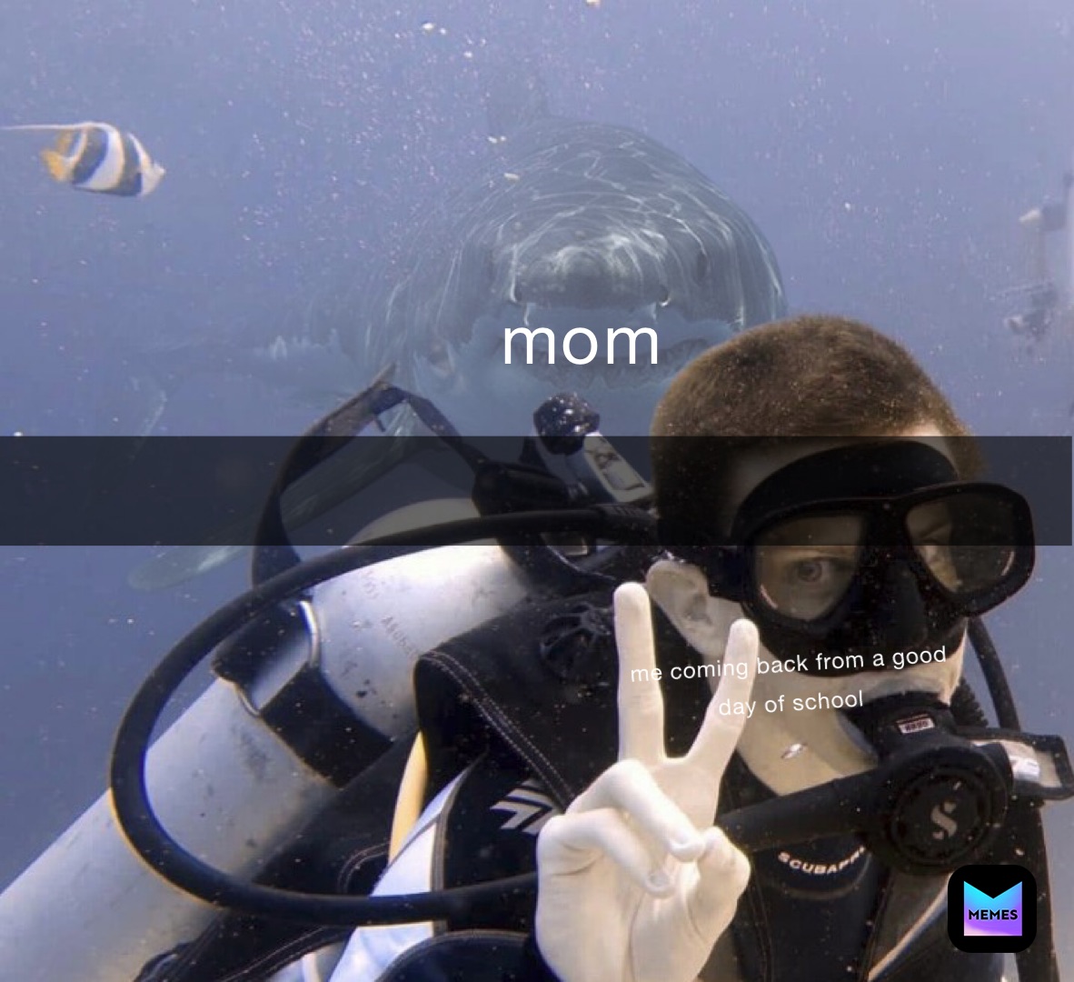 Meme by meme_support