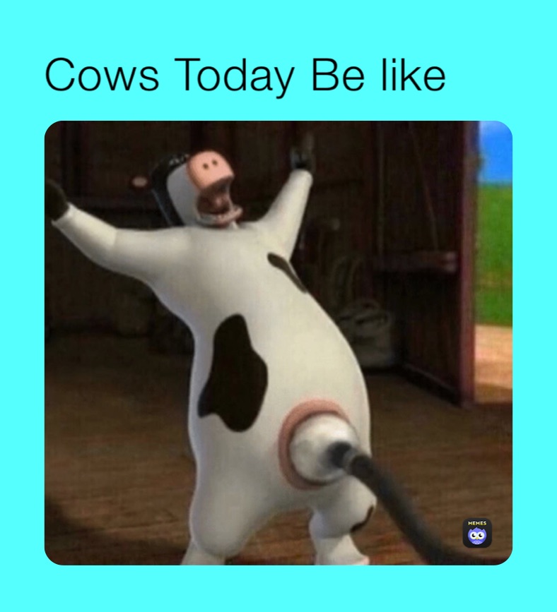 Cows Today Be like ￼