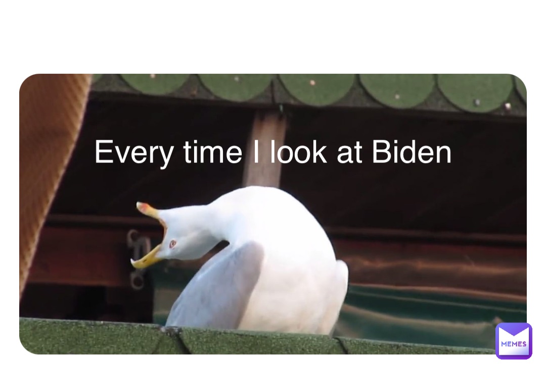 Every time I look at Biden Every time I look at Biden