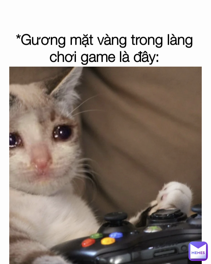 *Gương mặt vàng trong làng chơi game là đây: