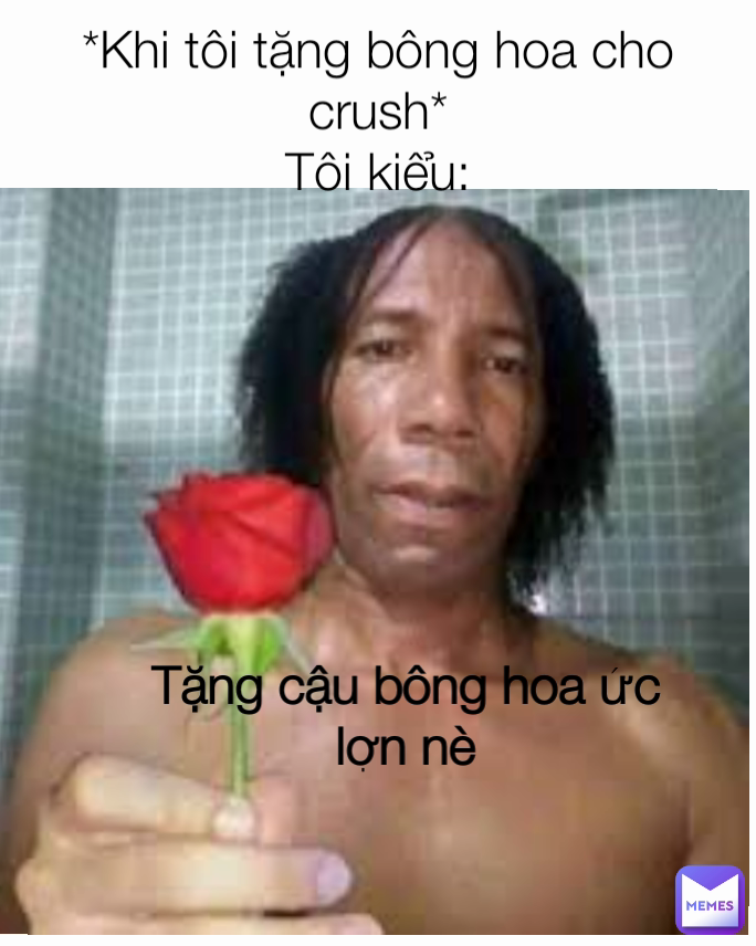 Tặng cậu bông hoa ức lợn nè *Khi tôi tặng bông hoa cho crush*
Tôi kiểu: