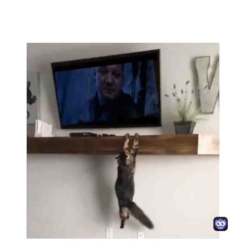 Meme shared by @KING_BARNEY
