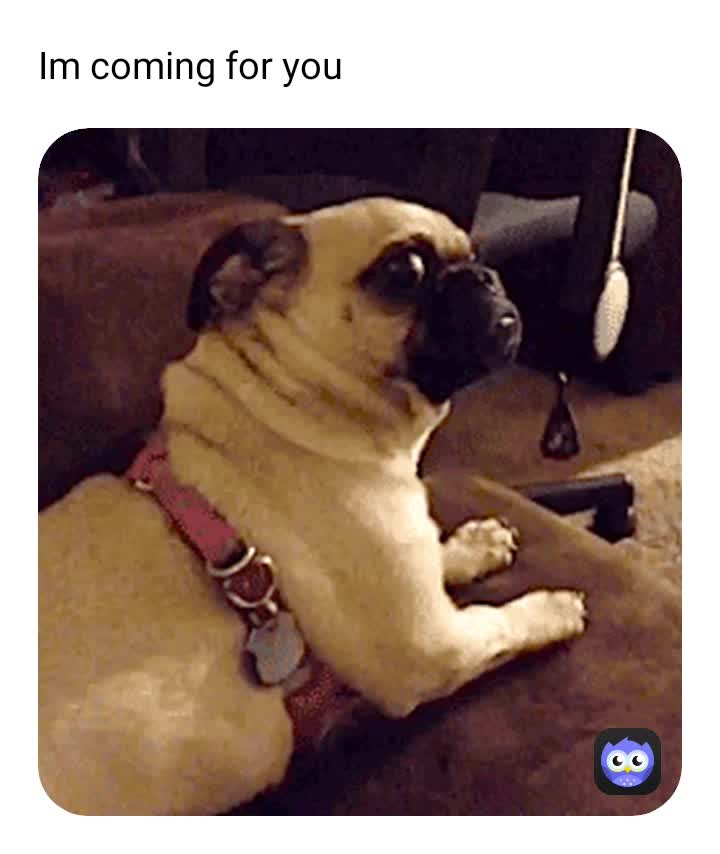 Meme shared by @_Memes21
