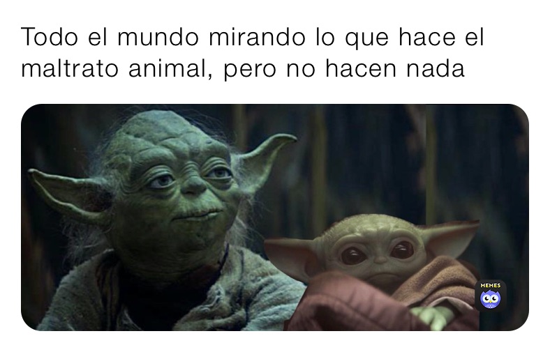 Todo el mundo mirando lo que hace el maltrato animal, pero no hacen nada 