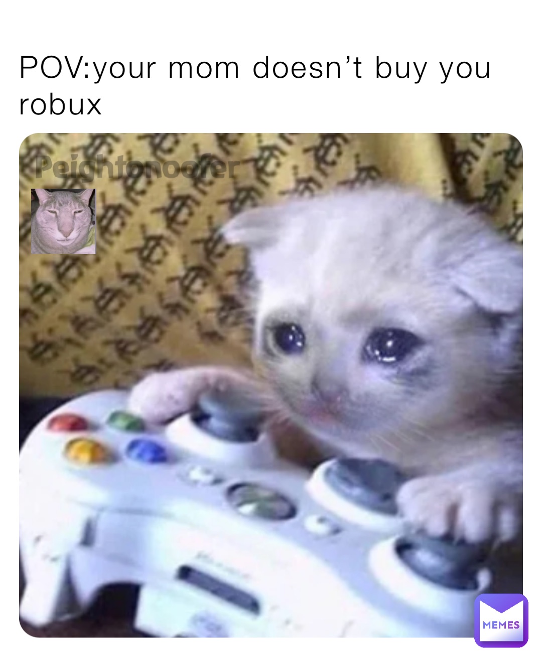 POV:your mom doesn’t buy you robux