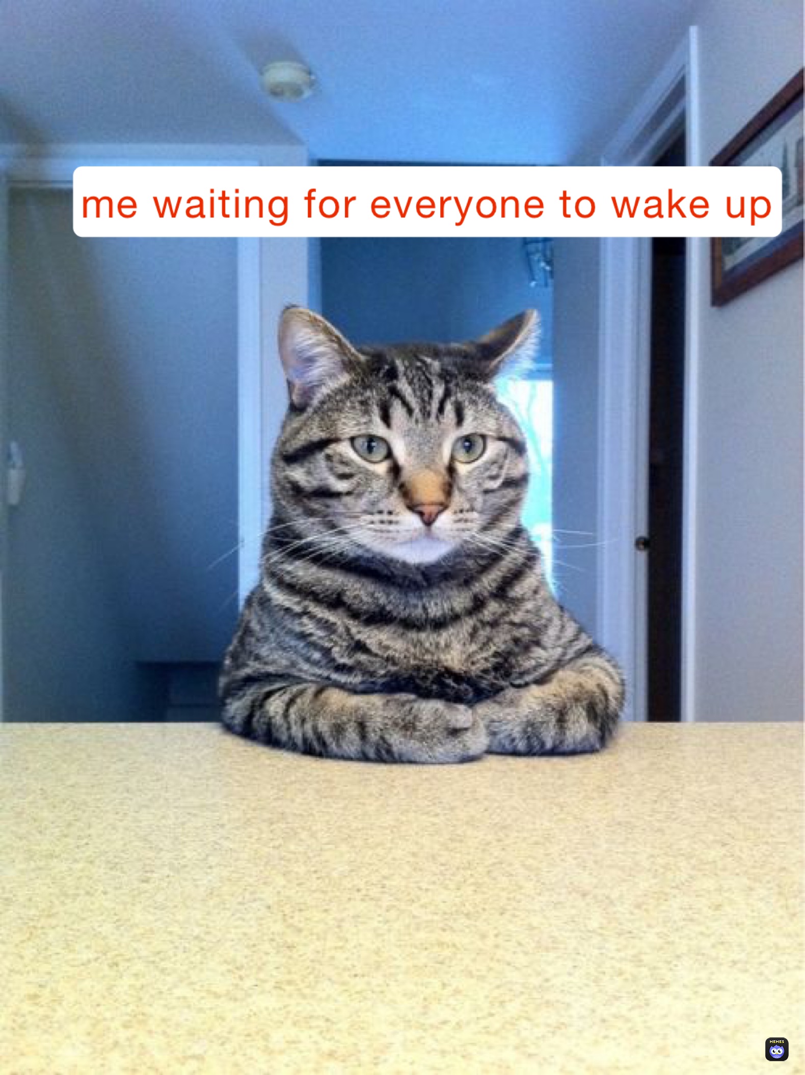 Meme by no_creative_ideas