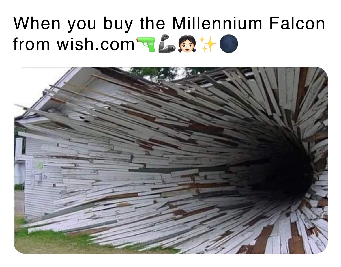 When you buy the Millennium Falcon from wish.com🔫🦾👧🏻✨🌑