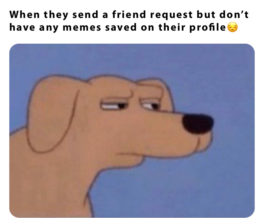 When they send a friend request but don’t have any memes saved on their profile😒