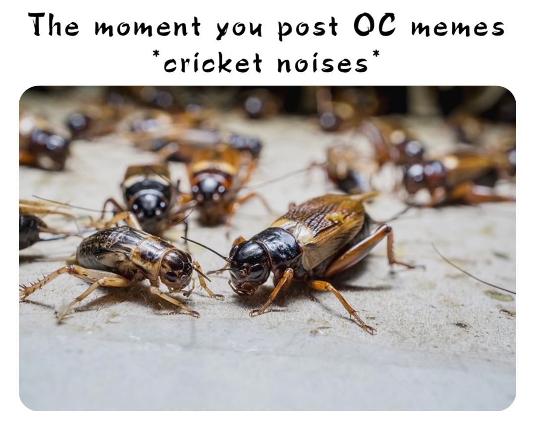 The moment you post OC memes
*cricket noises*