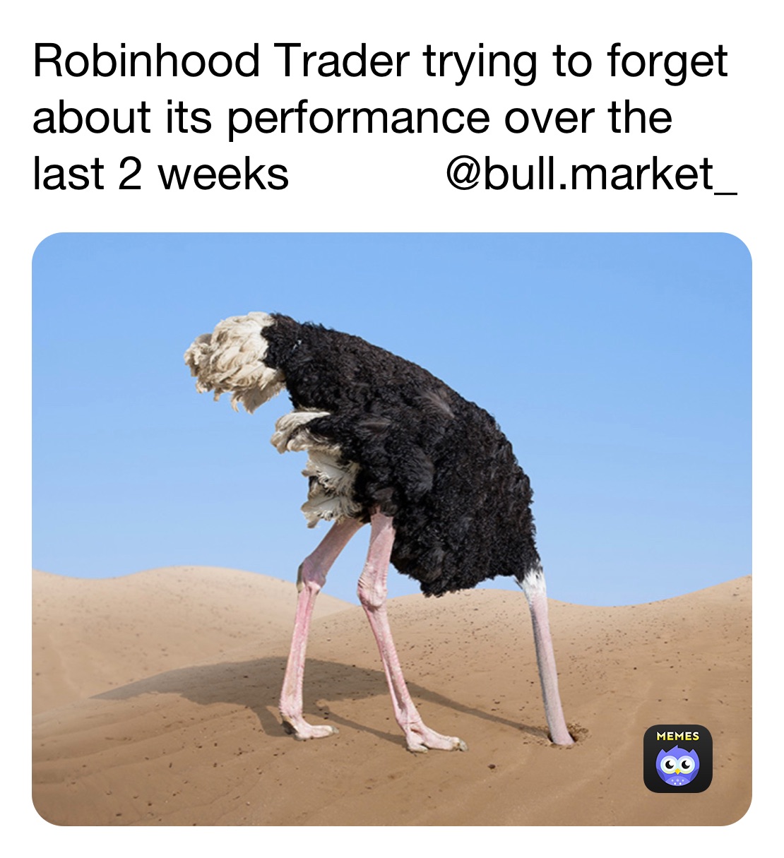 Robinhood Trader trying to forget about its performance over the last 2 weeks            @bull.market_