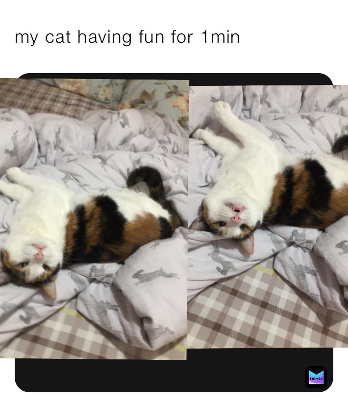 Meme by iLikeMakingMemes_