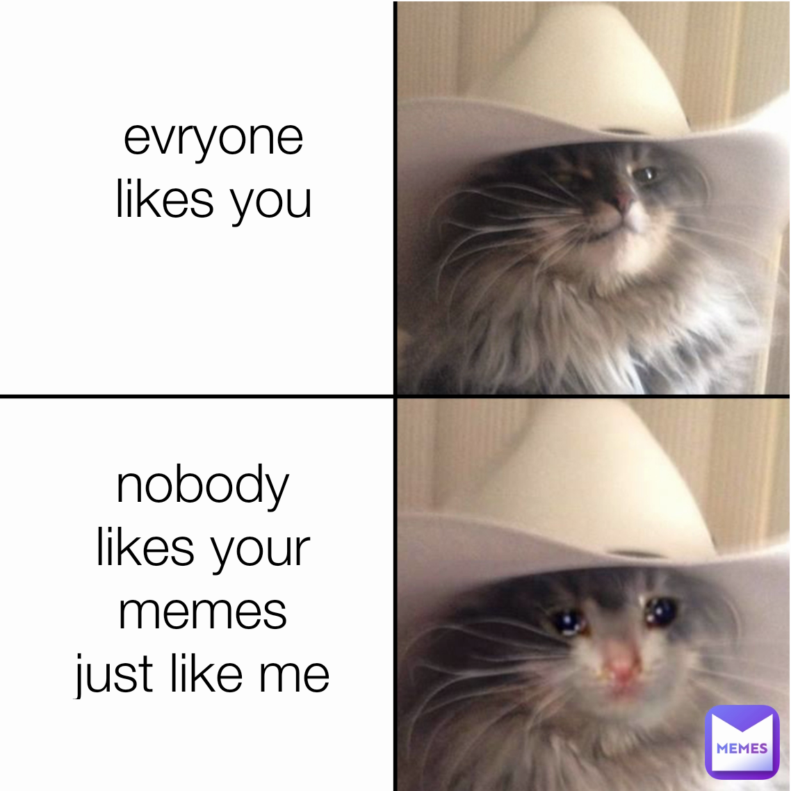 evryone likes you nobody likes your memes just like me