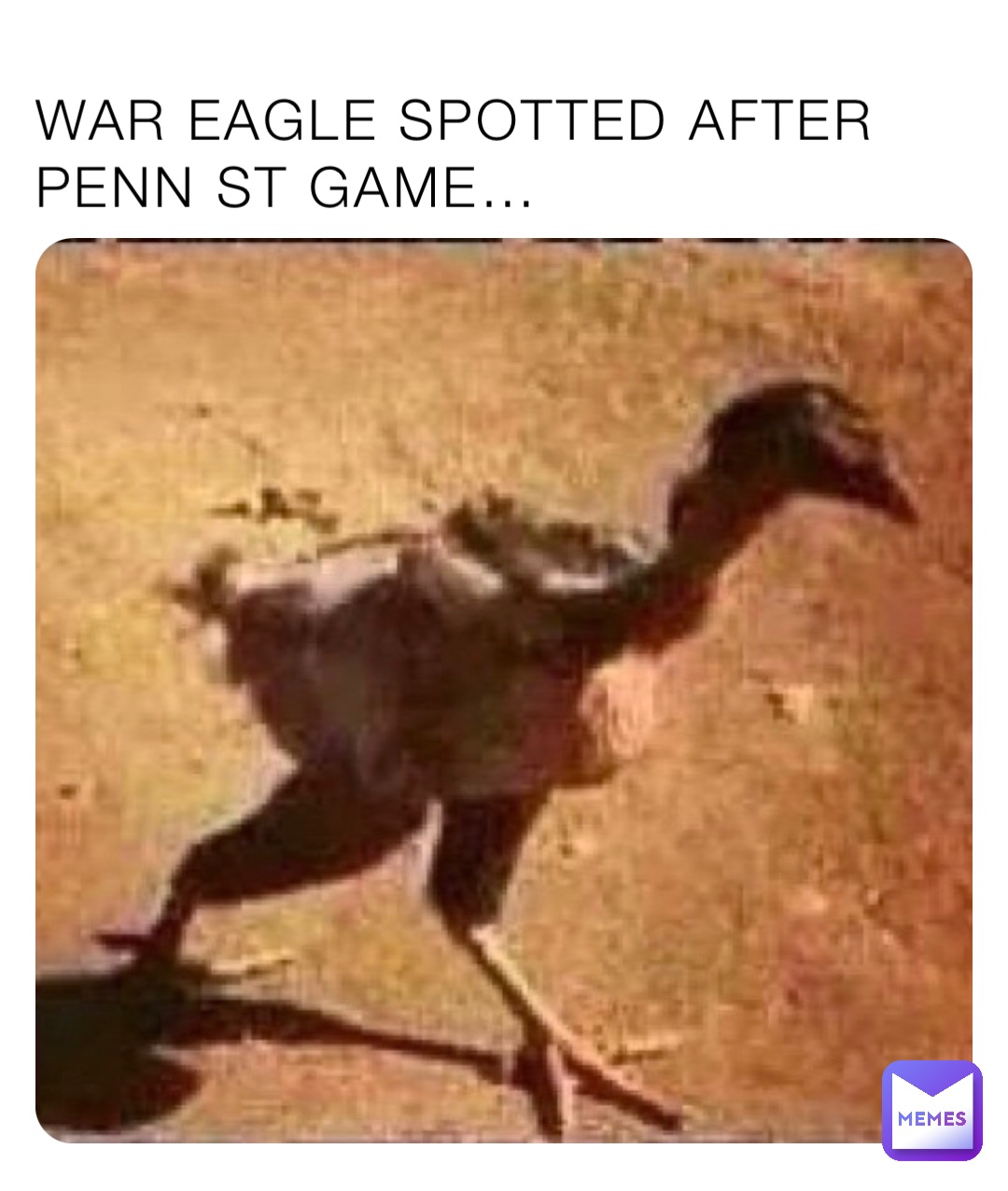 WAR EAGLE SPOTTED AFTER PENN ST GAME…