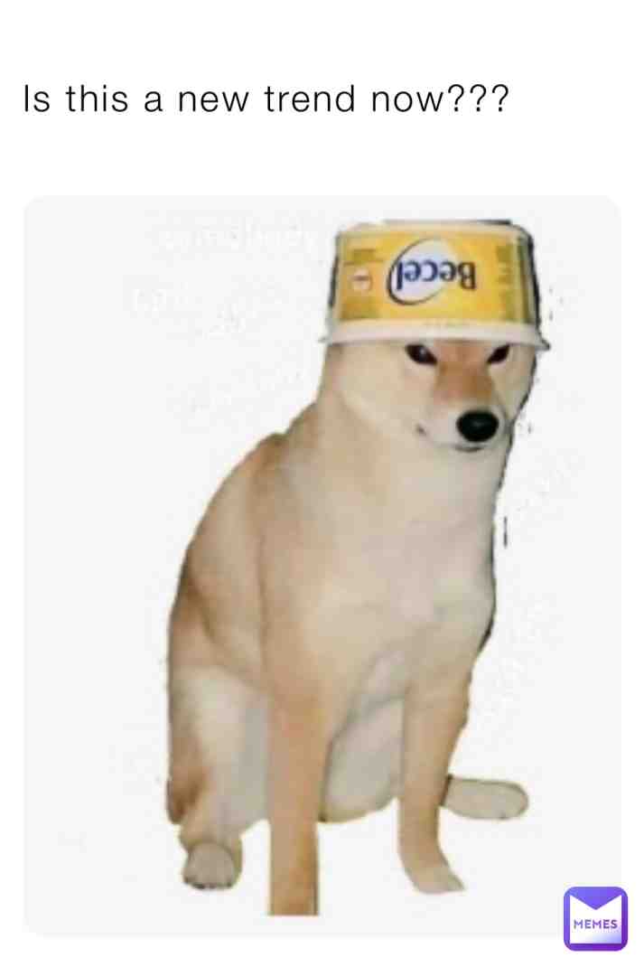We will help you make this a trend doggo
#funny
#doggo
#trending