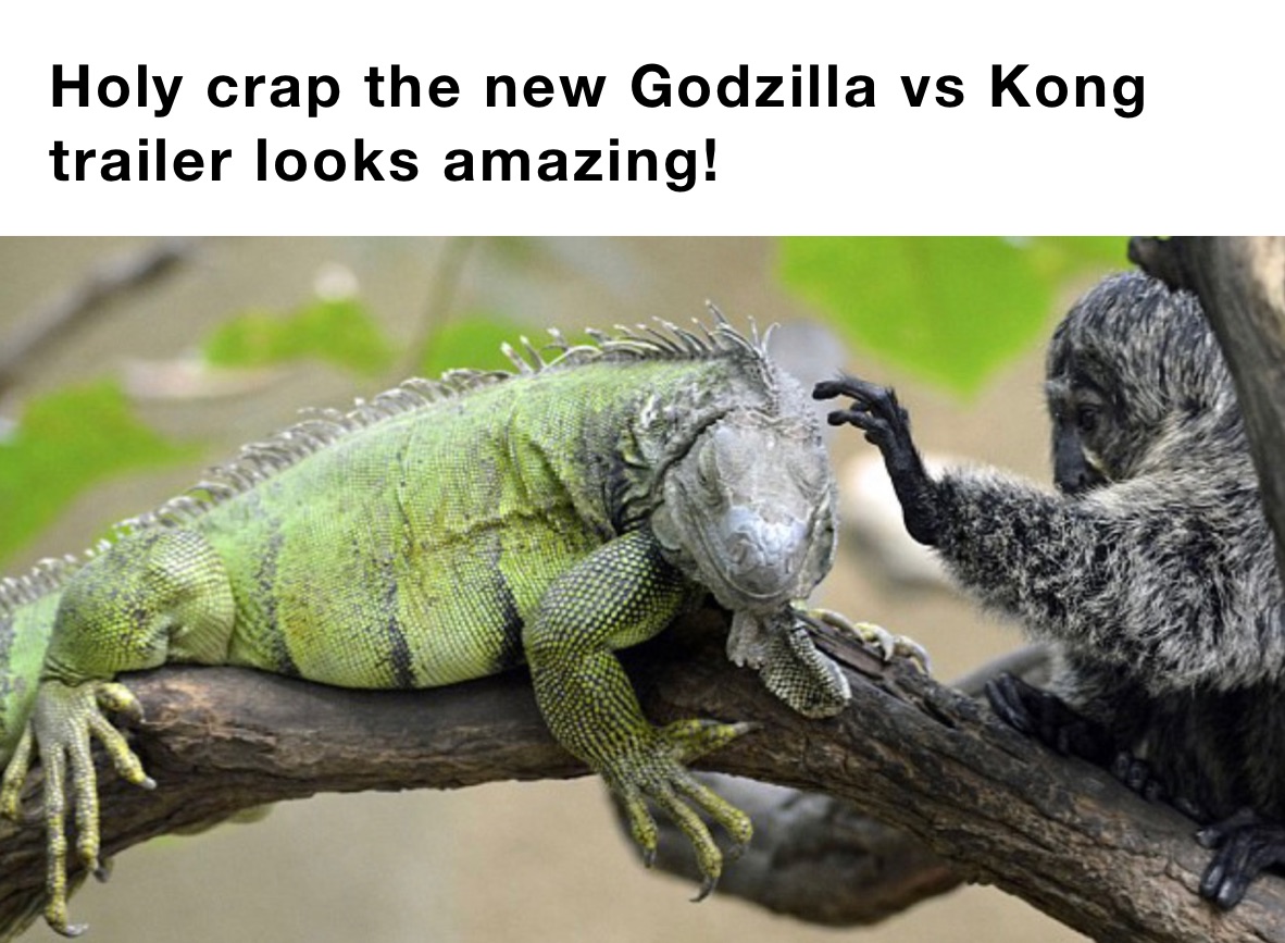 Holy crap the new Godzilla vs Kong trailer looks amazing!