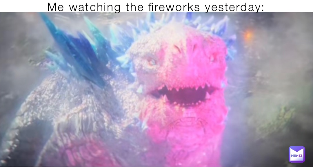 Me watching the fireworks yesterday: