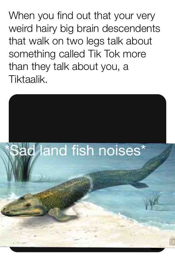 I just thought that this would be funny. #Tiktaalik #prehistorymemes #history #historical #historyrymemes #bigbrainmemes #evolution #evolutionmemes #goodmemes #spiceymemes #dankmemes #fossilmemes #tiktok #tiktokmemes #paleontologymemes #science #sciencememes