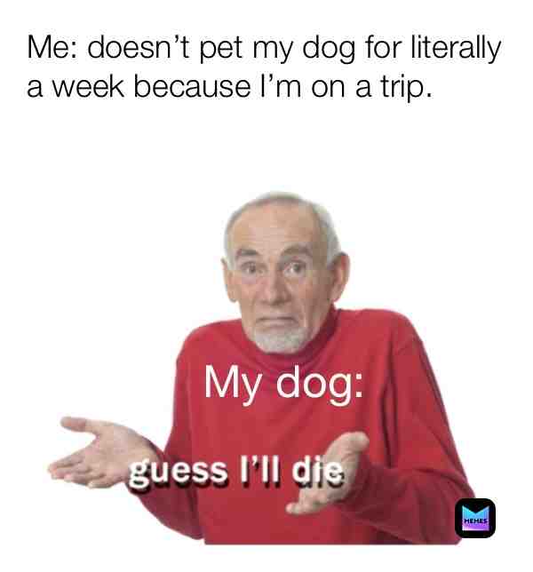 This is basically the truth! 🤣 #dogmemes #dankmemes #goodmemes #guessilldie #pets #petmemes #animals #animalmemes