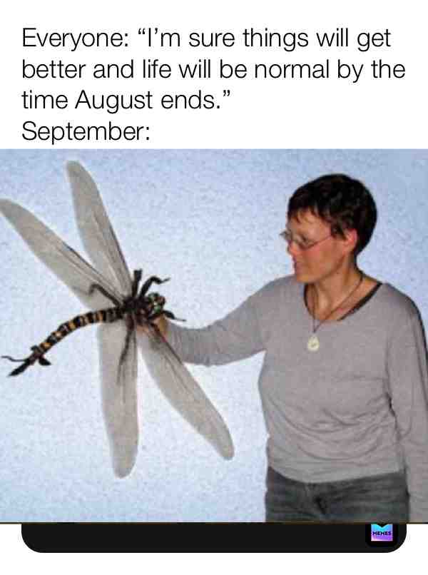 This is a photo of model of a giant dragonfly from the Carboniferous period called Meganeura that existed when oxygen levels on Earth were much higher. #giantinsects #carboniferousmemes #nightmare #nightmares #goodmemes #dankmemes #juicymemes #paleontologymemes #prehistorymemes #historymemes #science #sciencememes