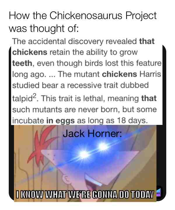 How Paleontologist Jack Horner thought of the Chickenosaurus Project in a nutshell. #dankmemes #goodmemes #juicymemes #dinosaurmemes #dinosaur #dinosaurs #science #sciencememes #paleontologymemes #chickenmemes #prehistorymemes #historymemes