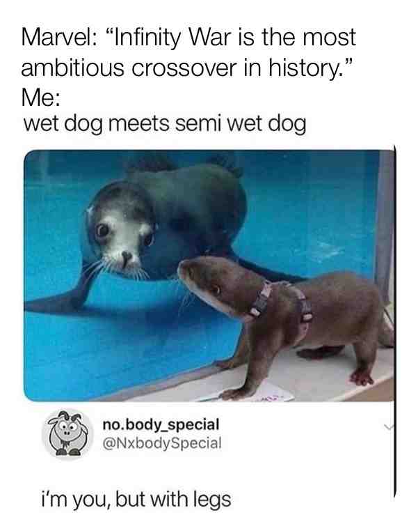 I just thought of this, I wanted to make a most ambitious crossover in history meme but I just thought that this picture would work perfectly. #dankmemes #goodmemes #juicymemes #infinitywar #infinitywarmemes #marvel #marvelmeme #marvelmemes #crossover #science #sciencememes #evolution #evolutionmemes #naturememes #animalmemes #dogmemes