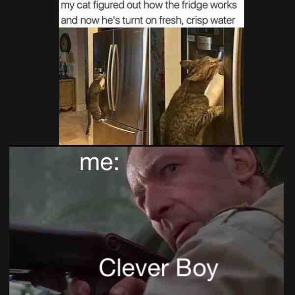 I saw this a while ago on Instagram and I knew exactly what I wanted to do and that was make this meme. #cat #cats #catmemes #jurassicpark #goodmemes #dankmemes #juicymemes