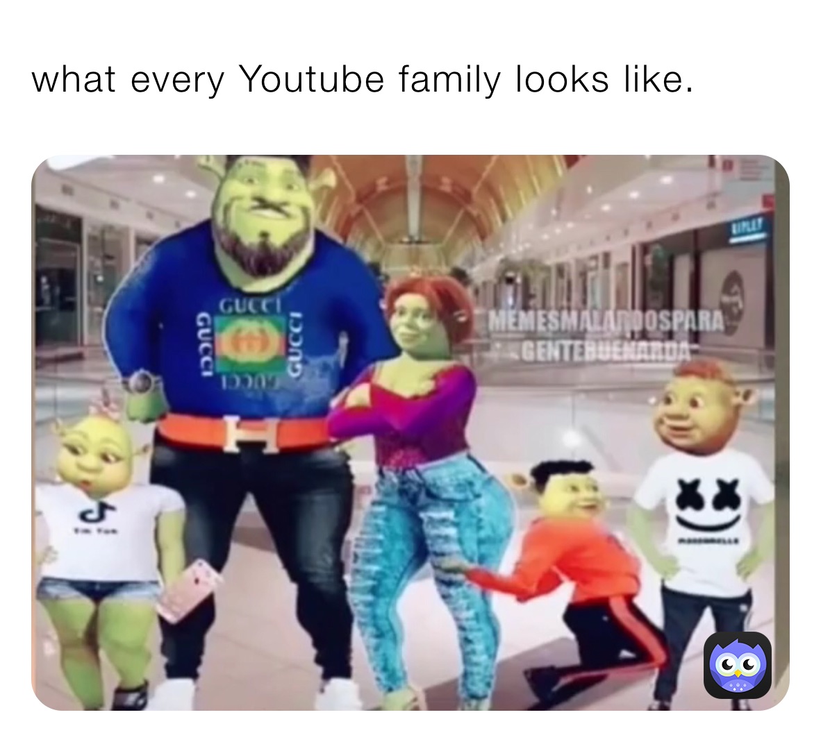 what every Youtube family looks like.