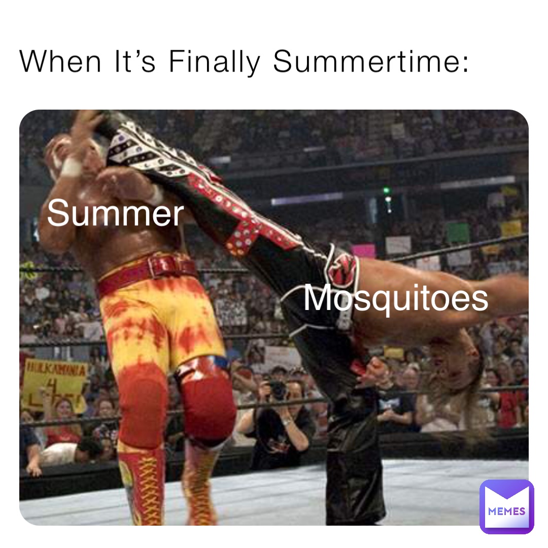 When It’s Finally Summertime: Mosquitoes Summer