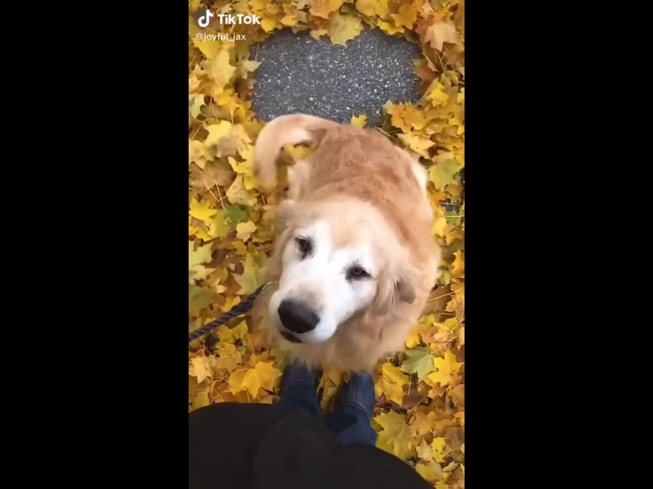 #cute!