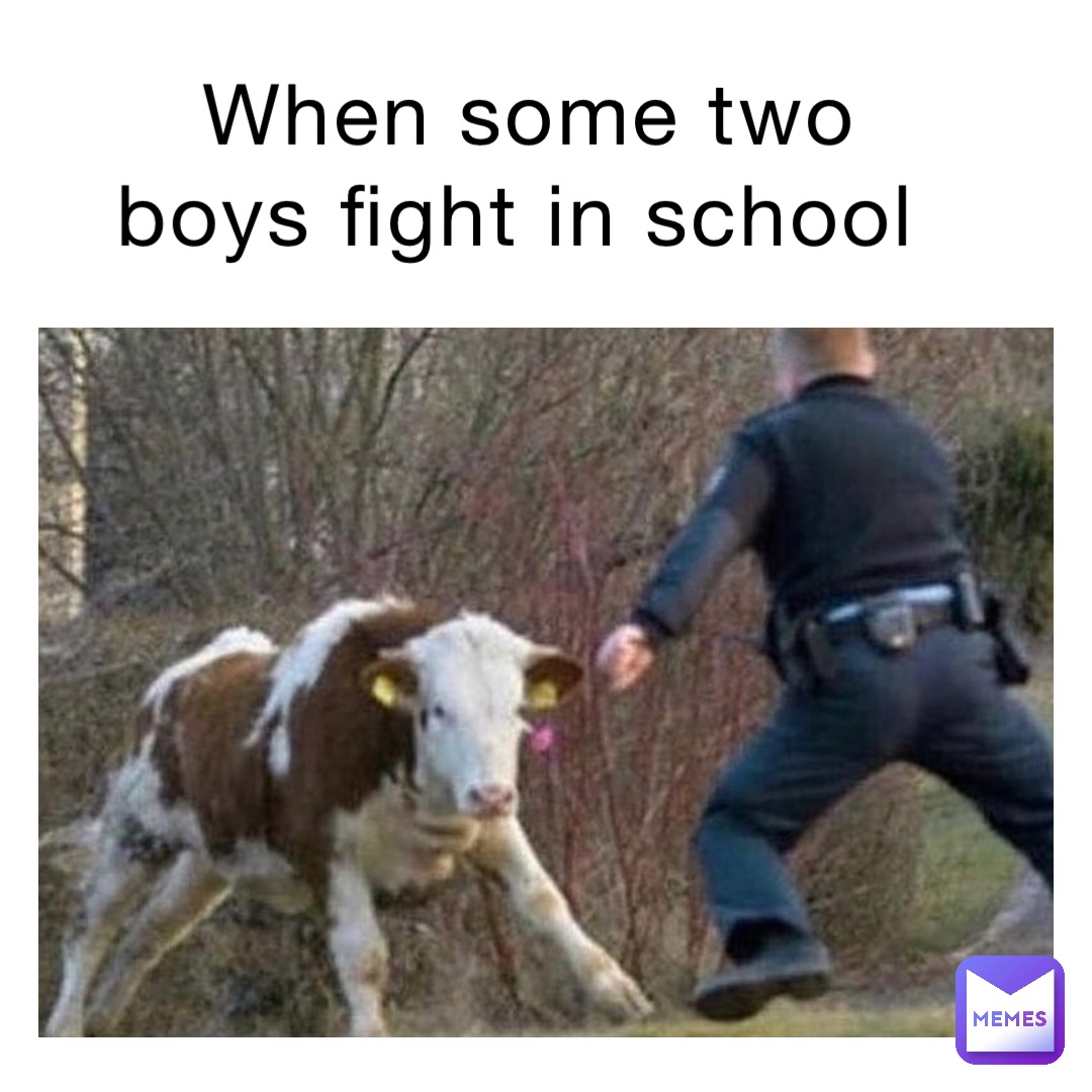 When some two boys fight in school