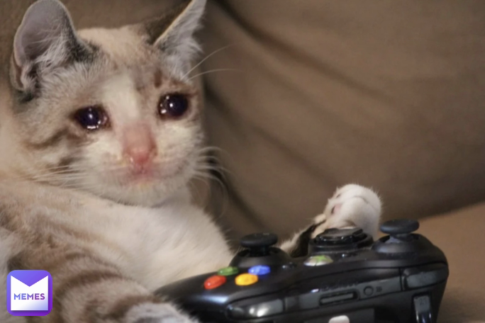 when you are loosing in FIFA but you have to keep on playing 😫 😂