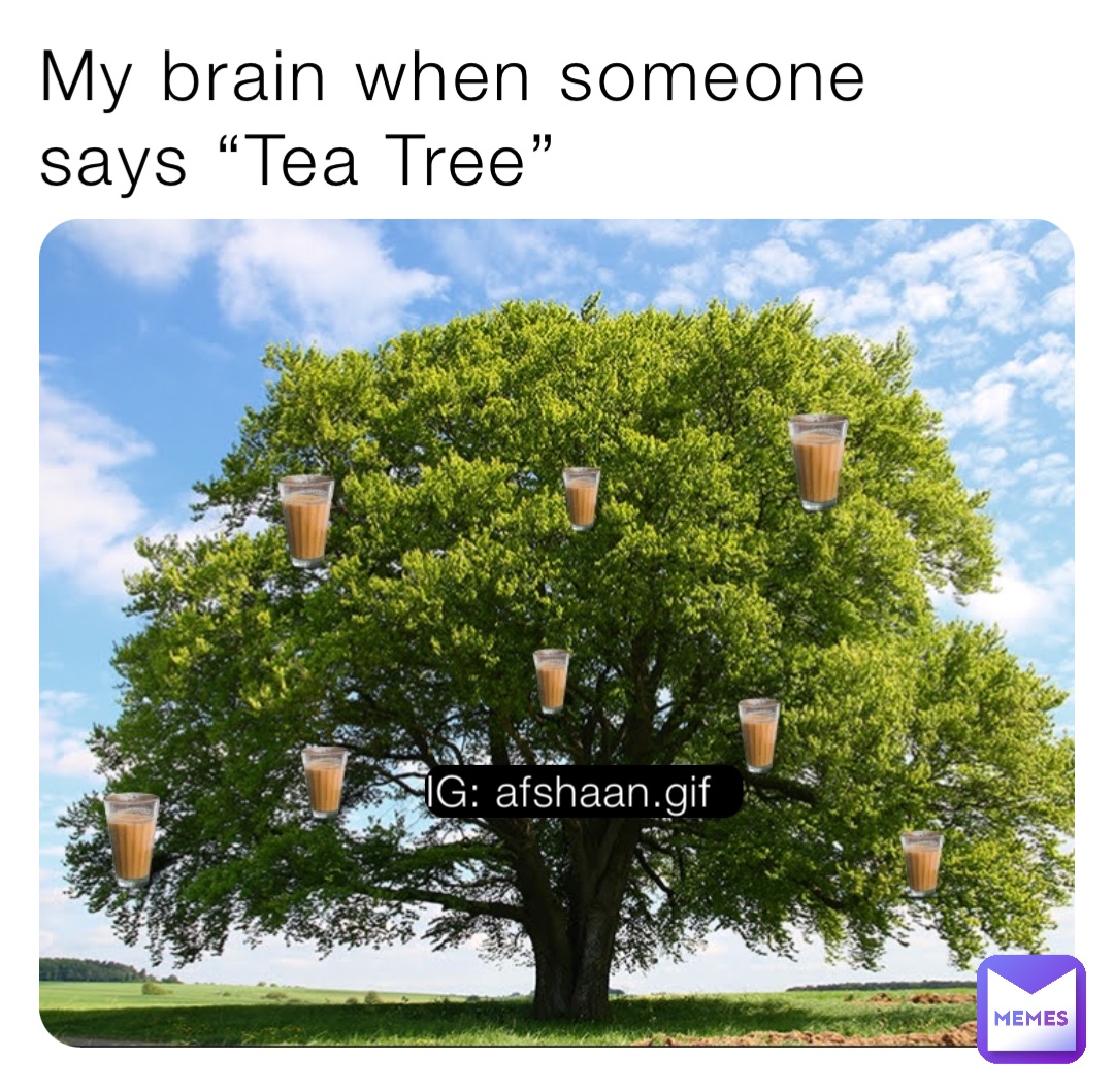 My brain when someone says “Tea Tree” IG: afshaan.gif