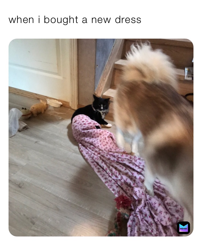 when i bought a new dress