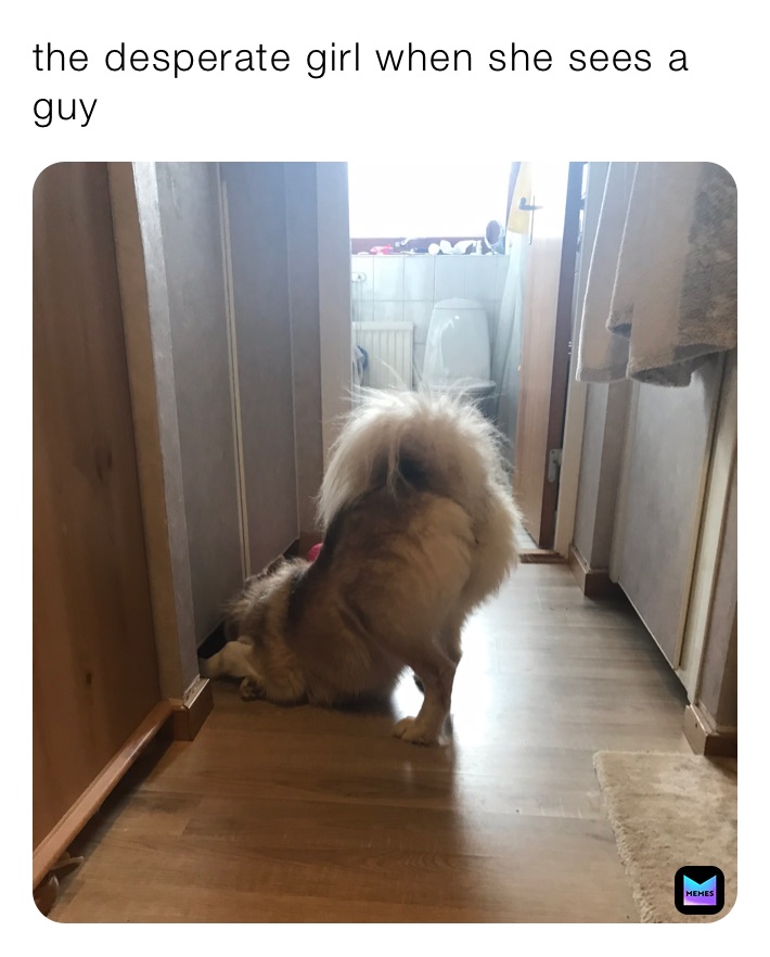 the desperate girl when she sees a guy 