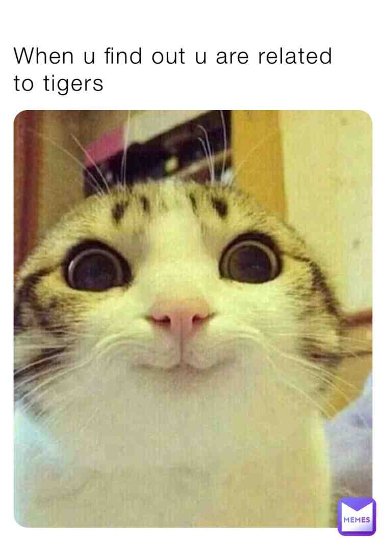 Meme preview