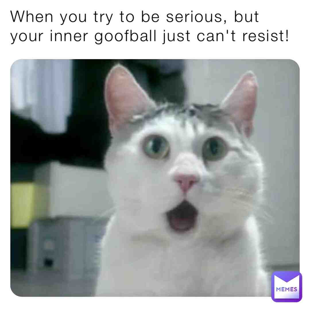 Meme preview