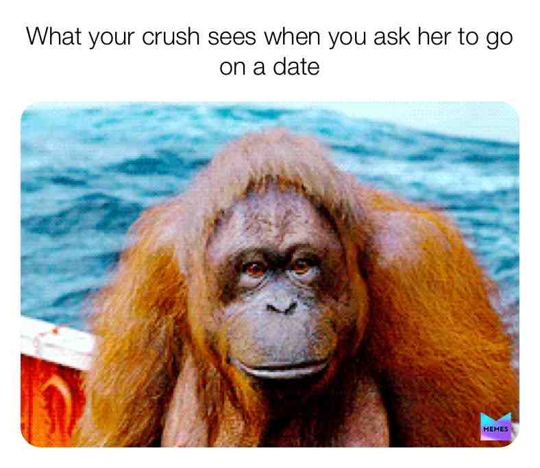  #memes #funny #bro #bruhmoment #roasted