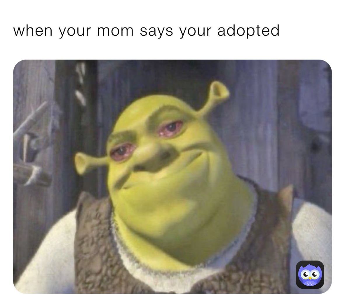 when your mom says your adopted 