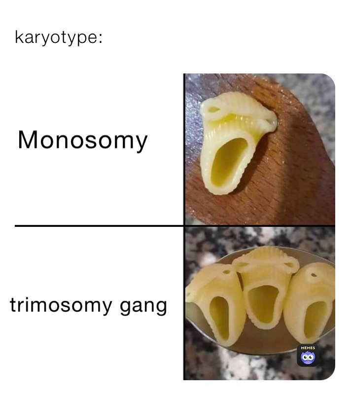 karyotype: