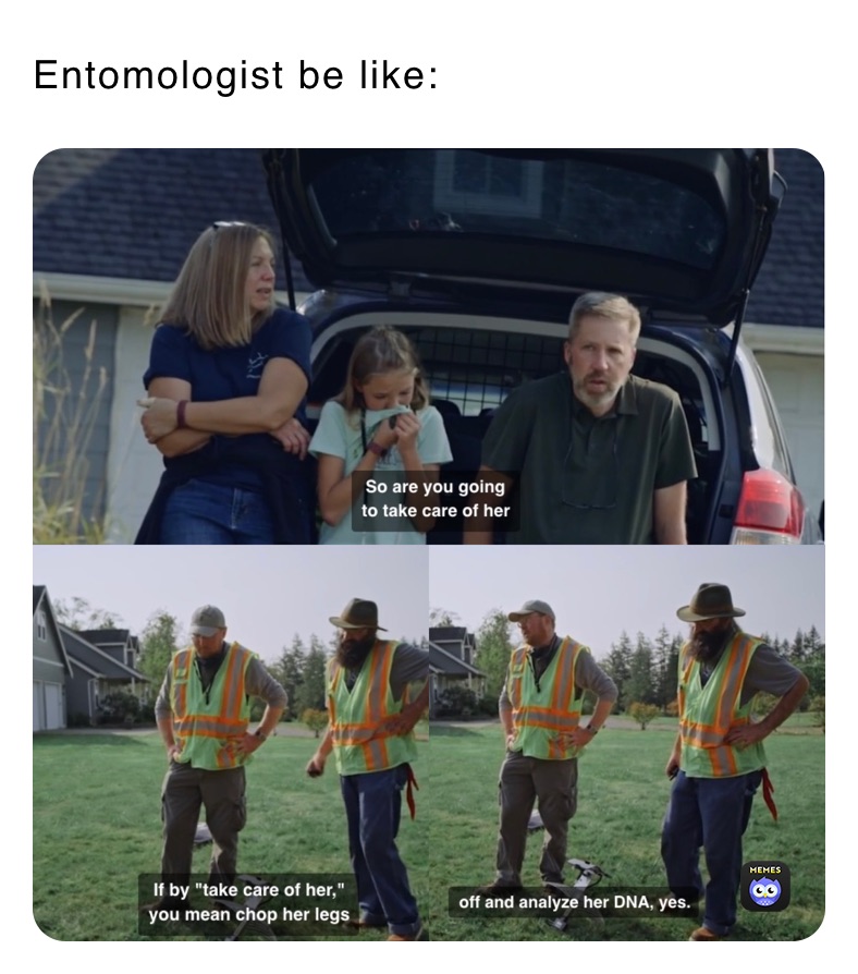 Entomologist be like: