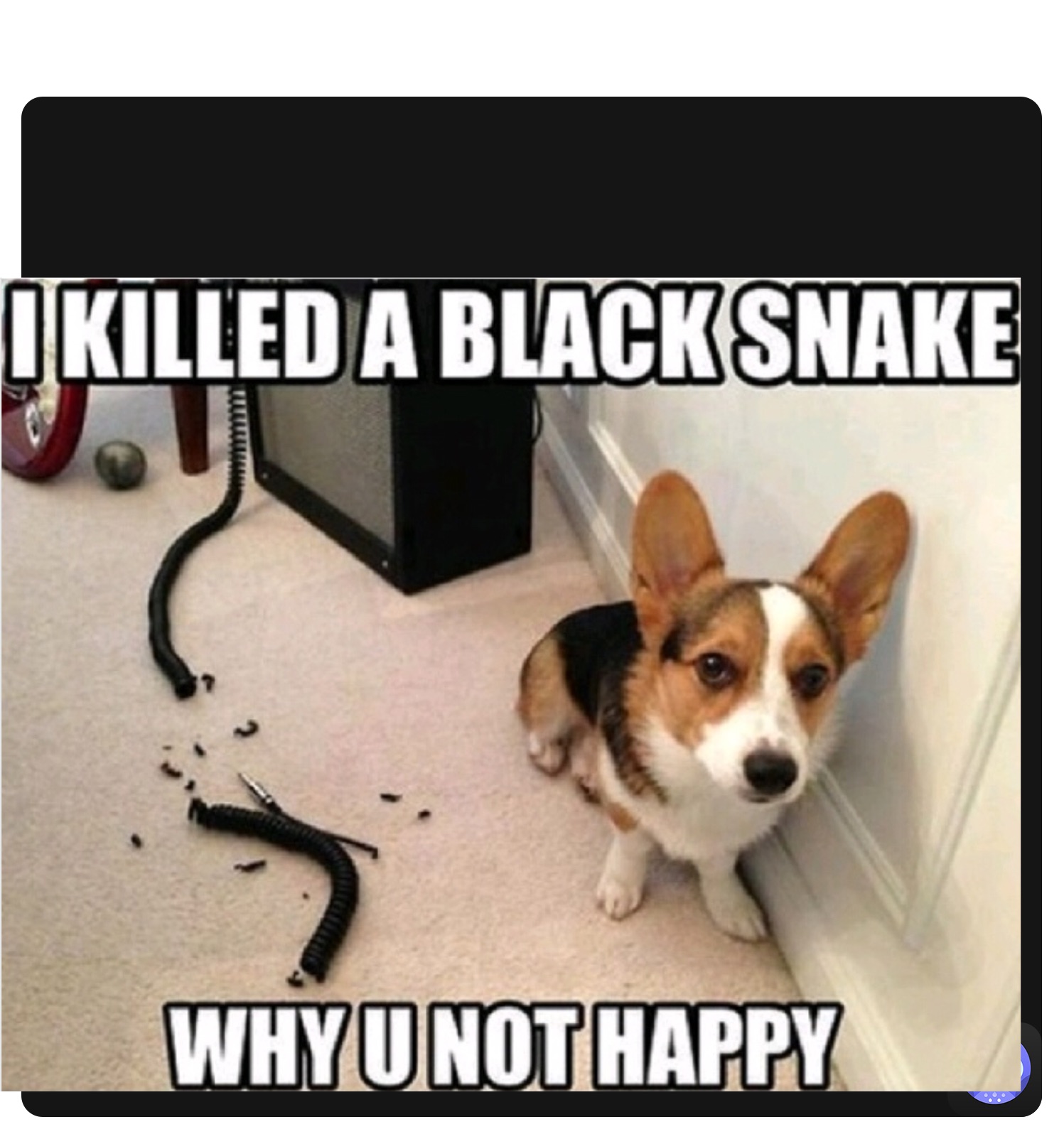 Meme by JaydenTNguyen