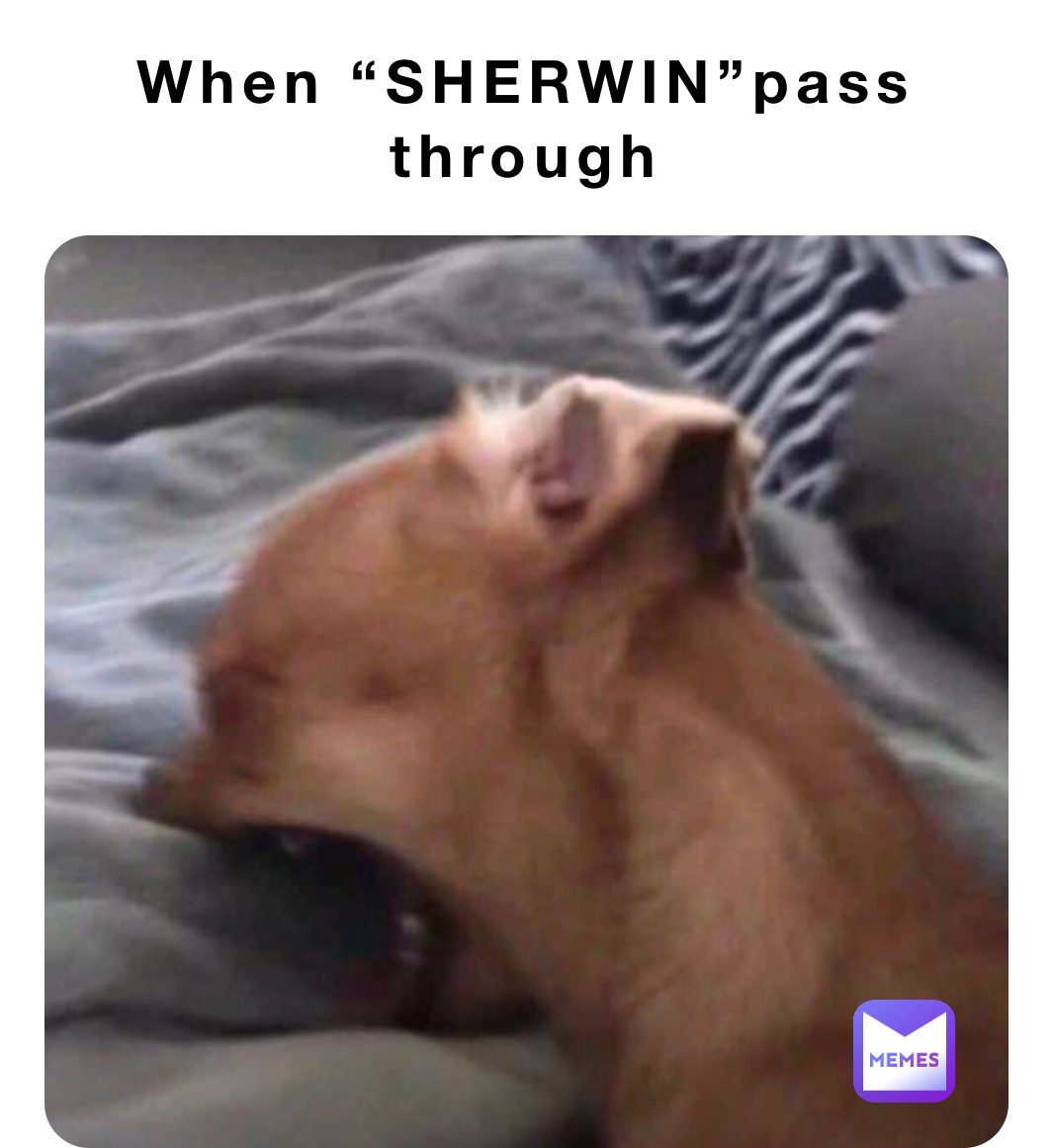 When “SHERWIN”pass through