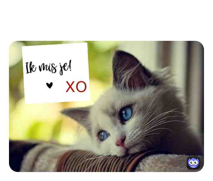 #dutch #love #ikmisje