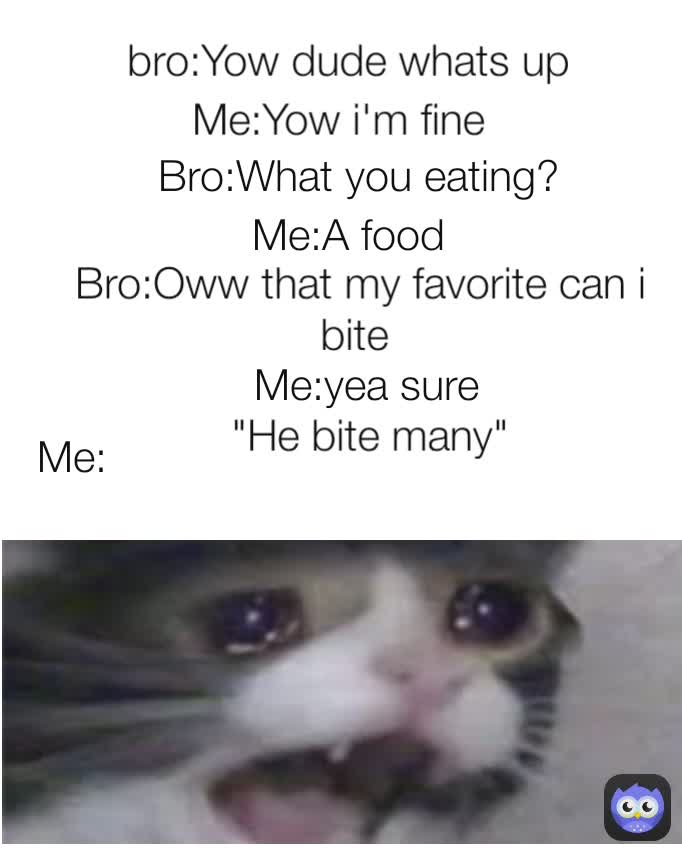 Me:Yow i'm fine bro:Yow dude whats up Me:yea sure Bro:Oww that my favorite can i bite  "He bite many" Bro:What you eating? Me: Me:A food