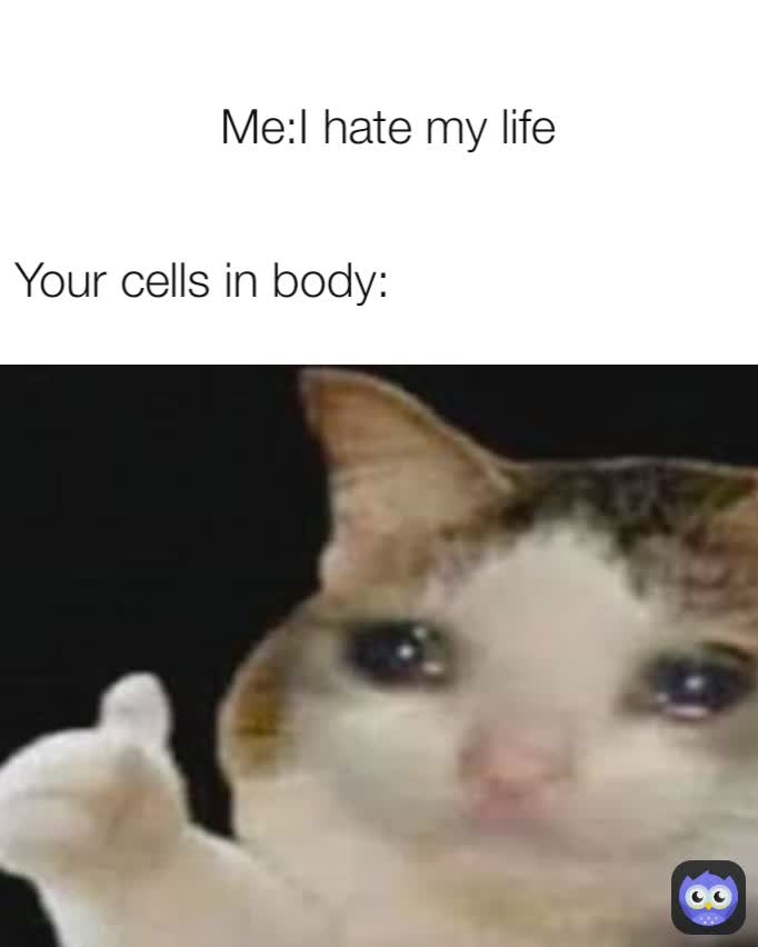 Your cells in body: Me:I hate my life